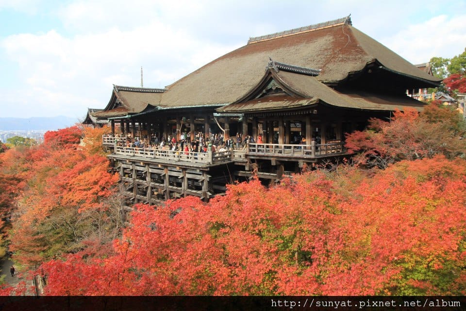 561509_3360286065645_2085241502_n