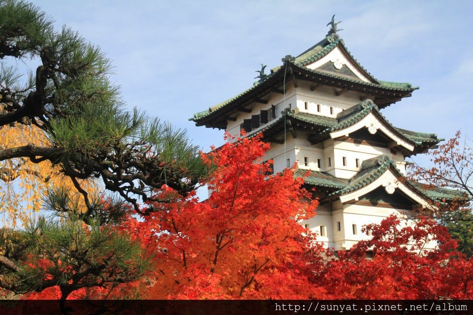 395004_3360330386753_816024311_n