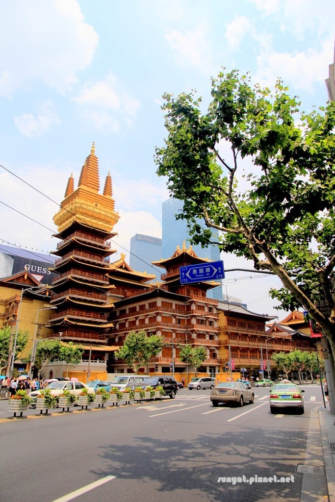 IMG_1365.JPG IMG_1365.JPG