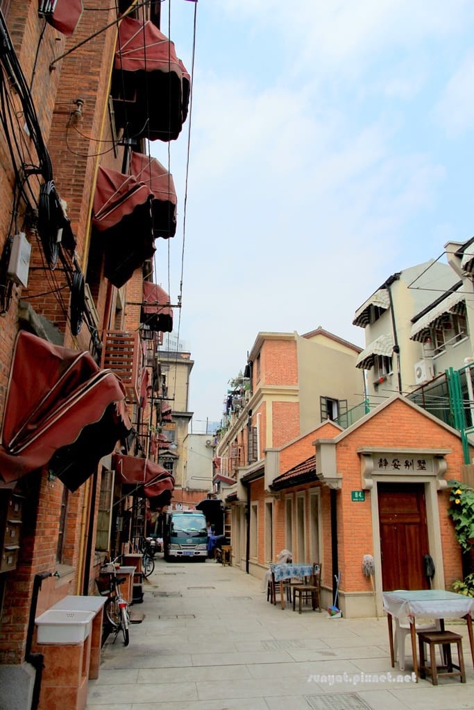 IMG_1546.JPG IMG_1546.JPG