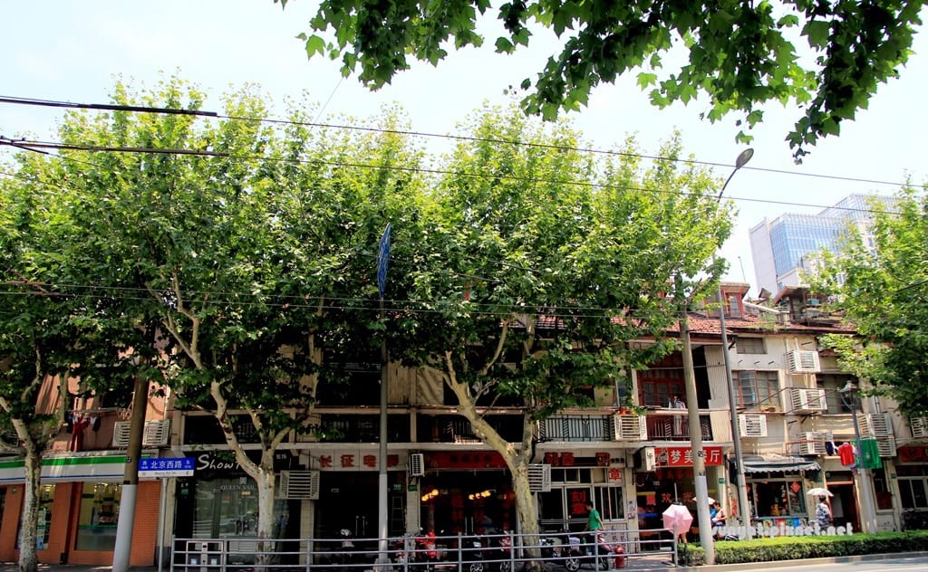 IMG_1362.JPG IMG_1362.JPG