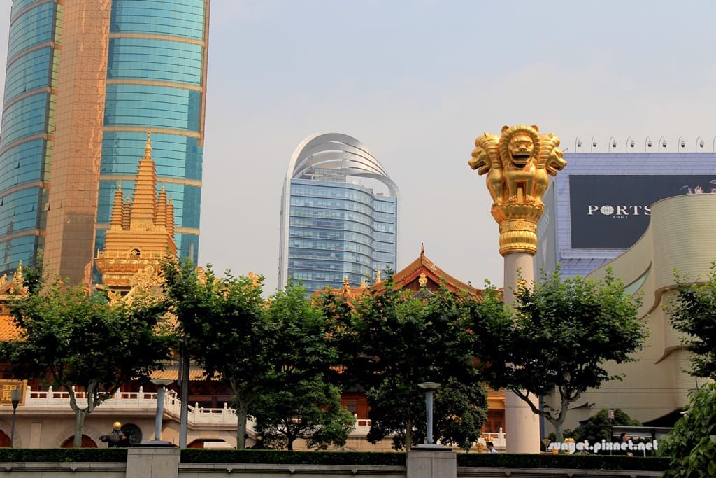 IMG_1501.JPG IMG_1501.JPG