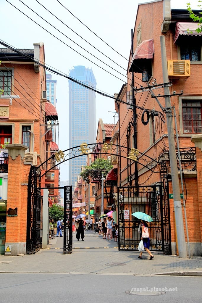 IMG_1566.JPG IMG_1566.JPG