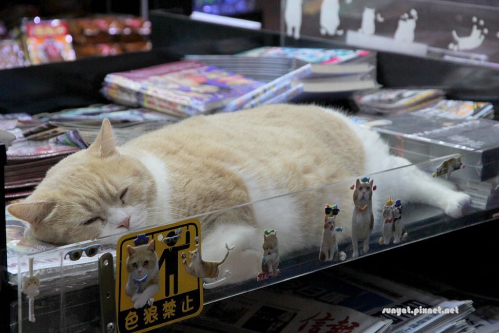 IMG_9987.JPG IMG_9987.JPG