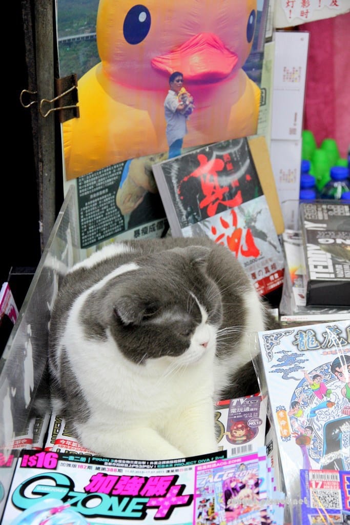 IMG_9995.JPG IMG_9995.JPG