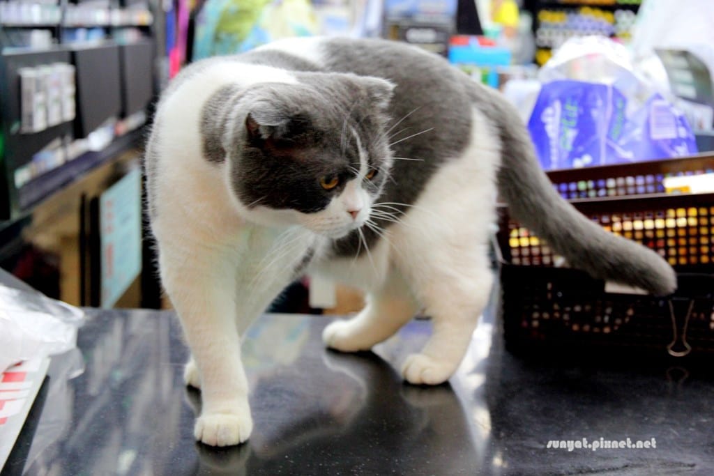 IMG_9989.JPG IMG_9989.JPG