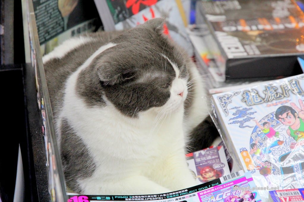 IMG_9994.JPG IMG_9994.JPG