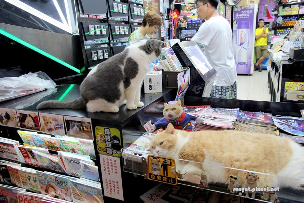 IMG_9991.JPG IMG_9991.JPG