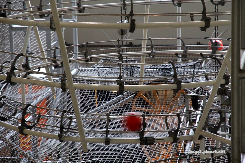 IMG_0045.JPG IMG_0045.JPG