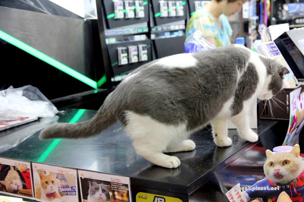 IMG_9992.JPG IMG_9992.JPG