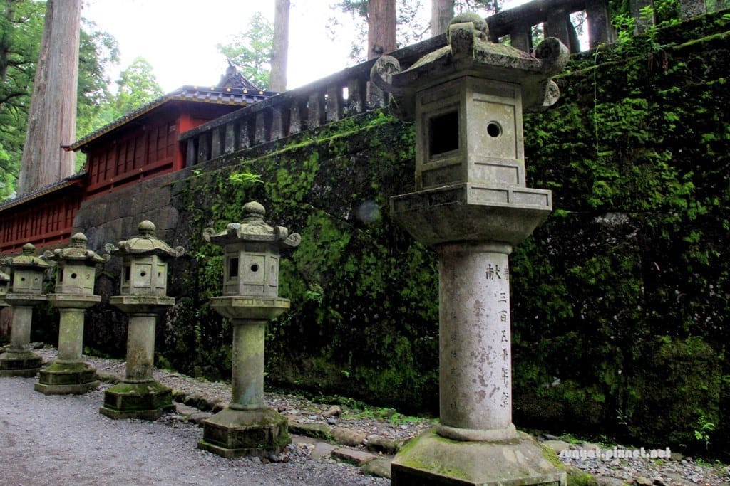 IMG_9105.JPG IMG_9105.JPG