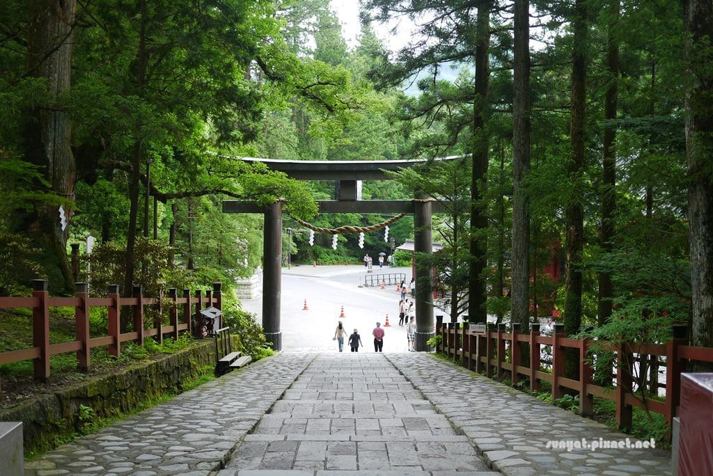 P1030582.JPG P1030582.JPG