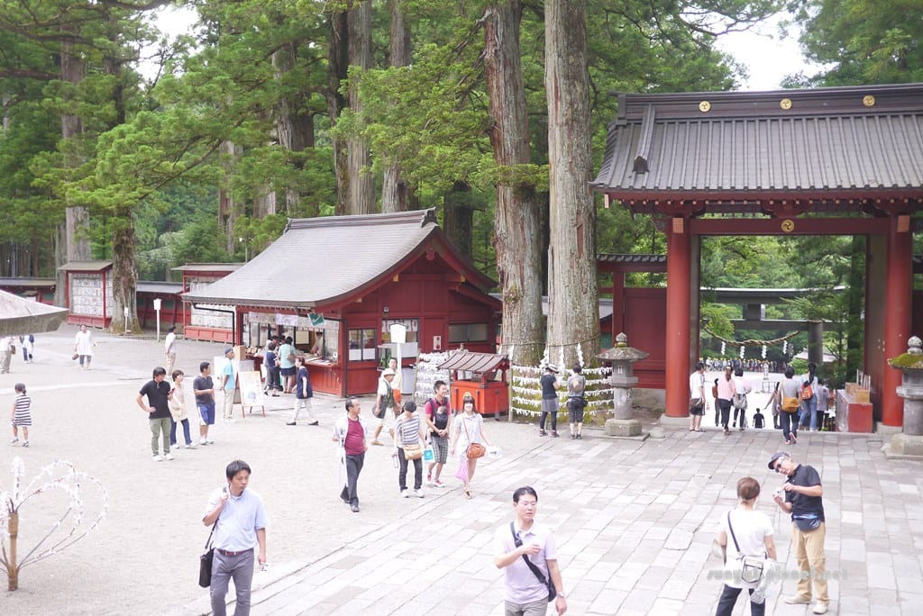 P1030579.JPG P1030579.JPG