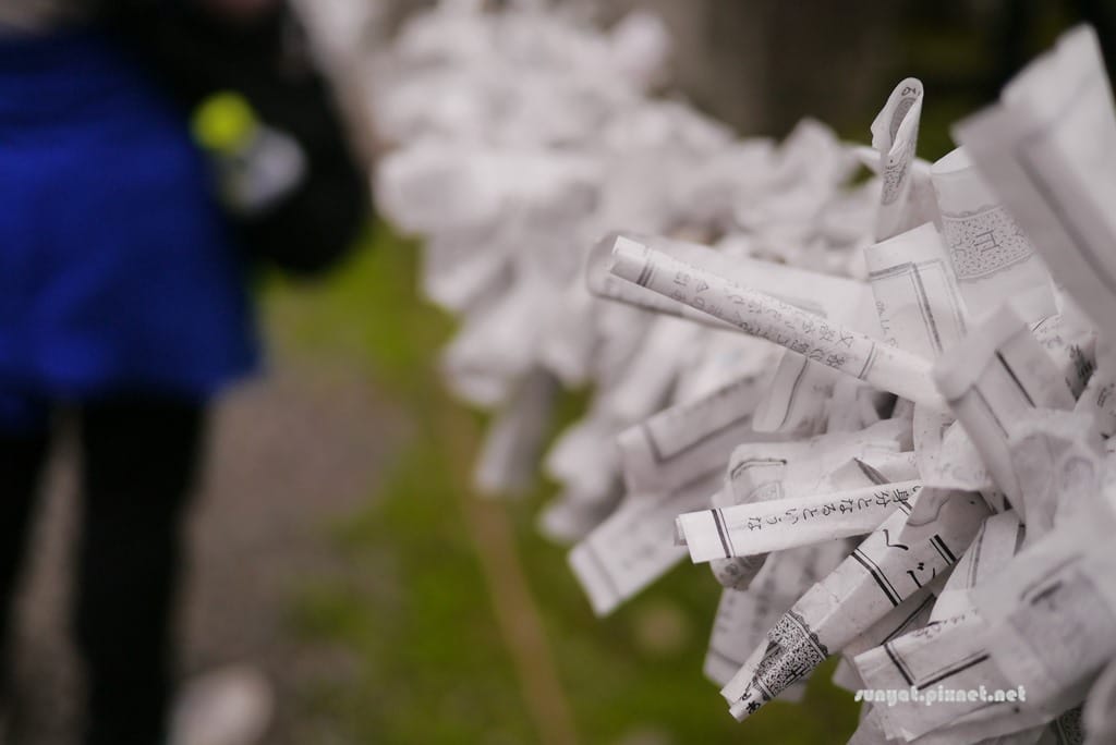 P1030553.JPG P1030553.JPG