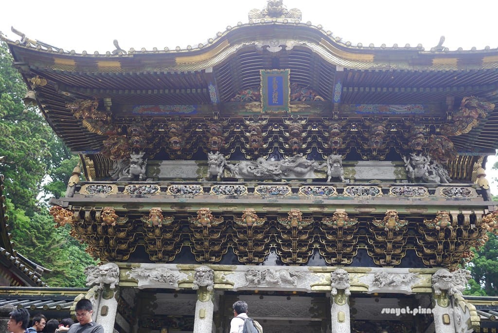 P1030568.JPG P1030568.JPG