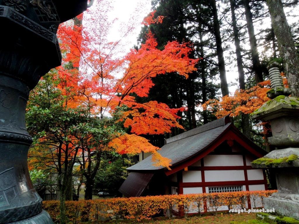 DSCN1516.JPG DSCN1516.JPG