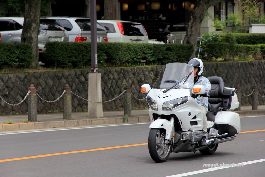 IMG_9178.JPG IMG_9178.JPG