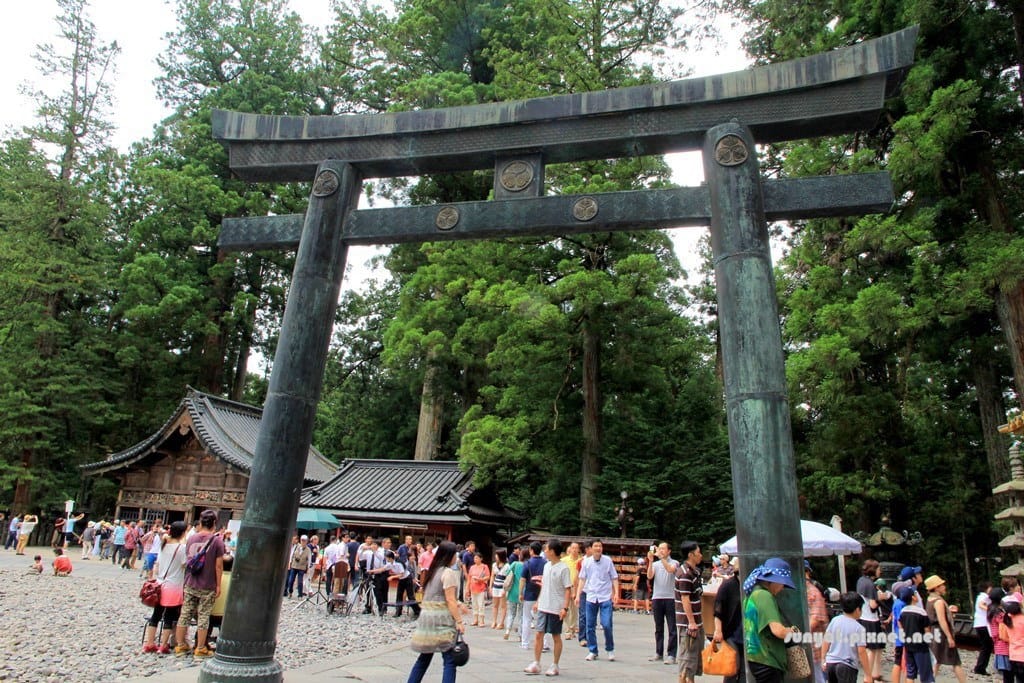 IMG_9075.JPG IMG_9075.JPG