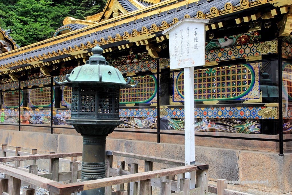 IMG_9080.JPG IMG_9080.JPG