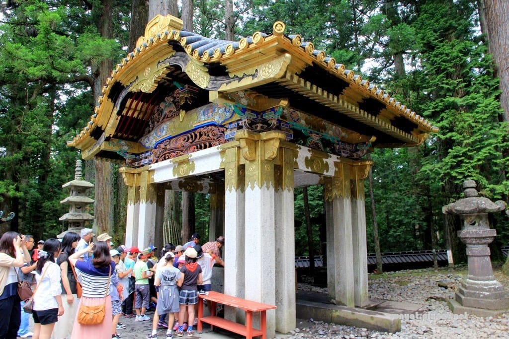 IMG_9074.JPG IMG_9074.JPG