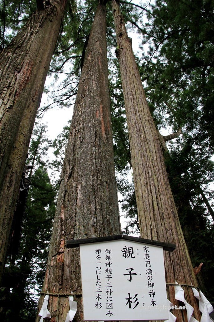 IMG_9133.JPG IMG_9133.JPG