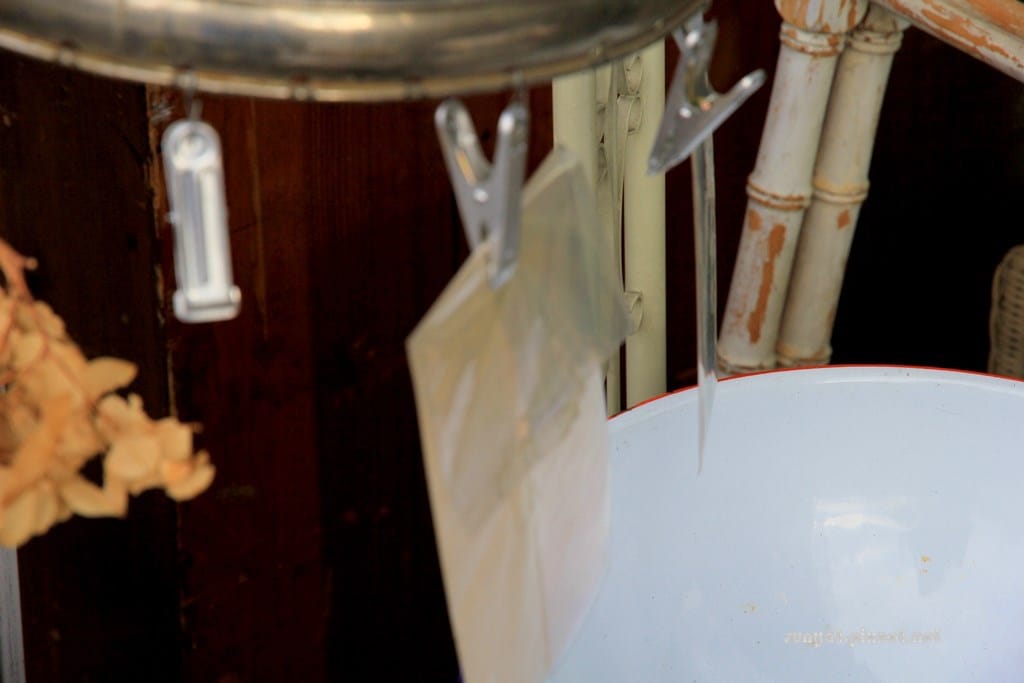 IMG_9290.JPG IMG_9290.JPG