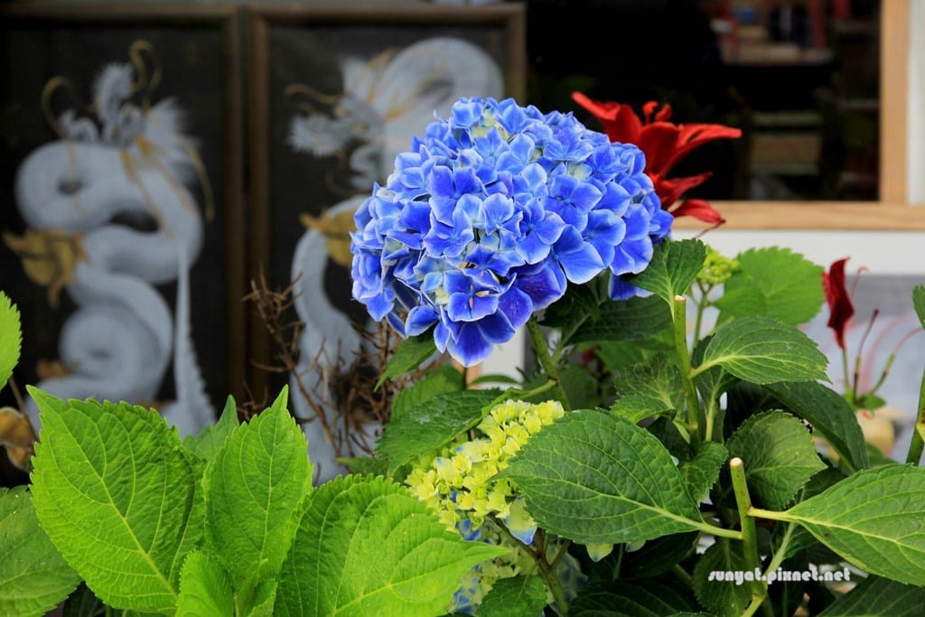 IMG_9282.JPG IMG_9282.JPG