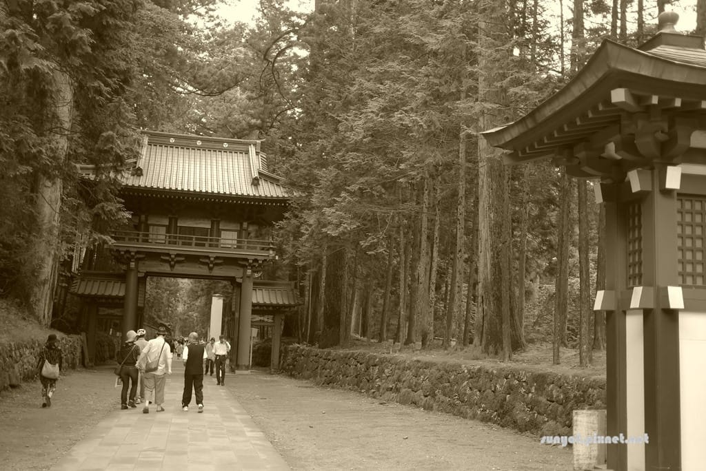 P1030577.JPG P1030577.JPG