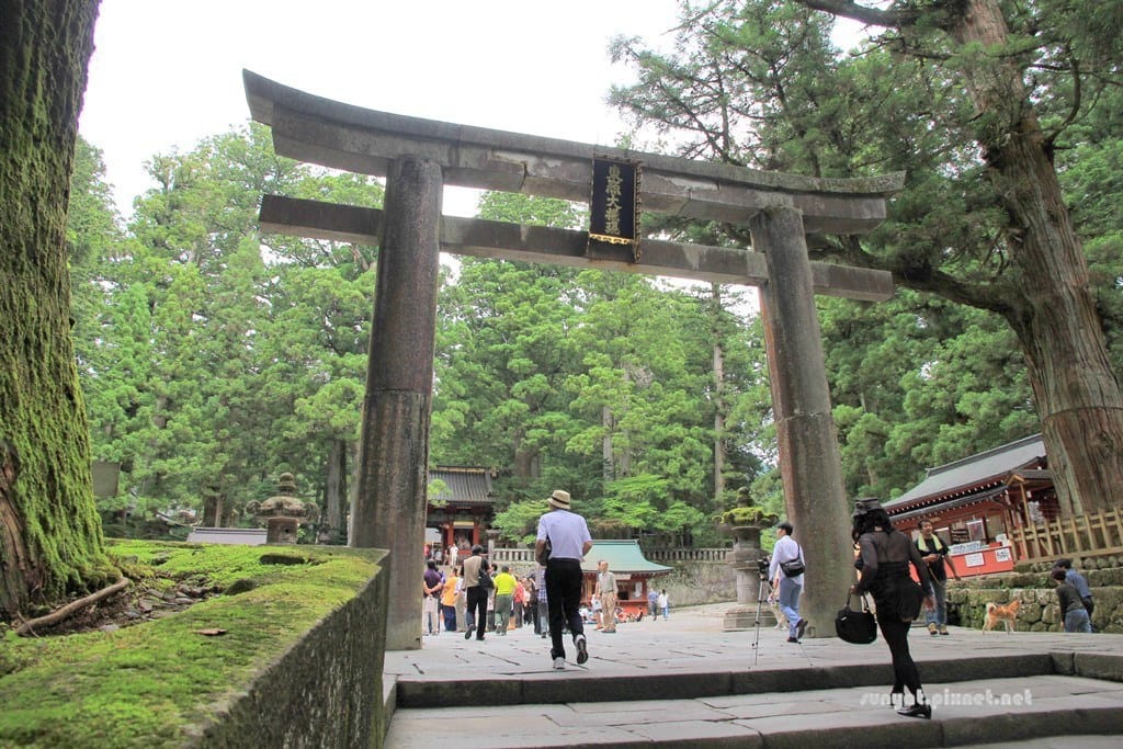 IMG_9035.JPG IMG_9035.JPG