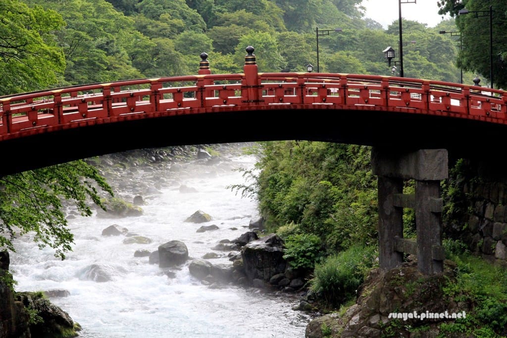 IMG_9249.JPG IMG_9249.JPG