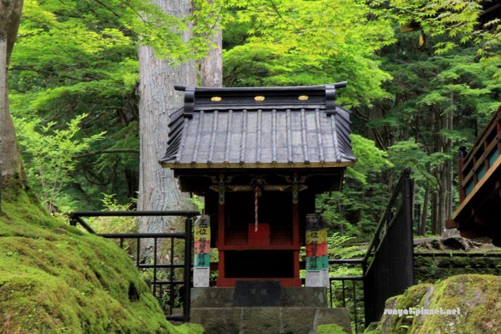 IMG_9022.JPG IMG_9022.JPG