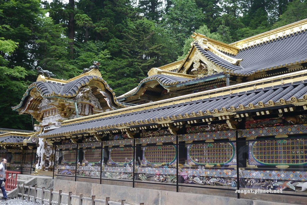 P1030571.JPG P1030571.JPG