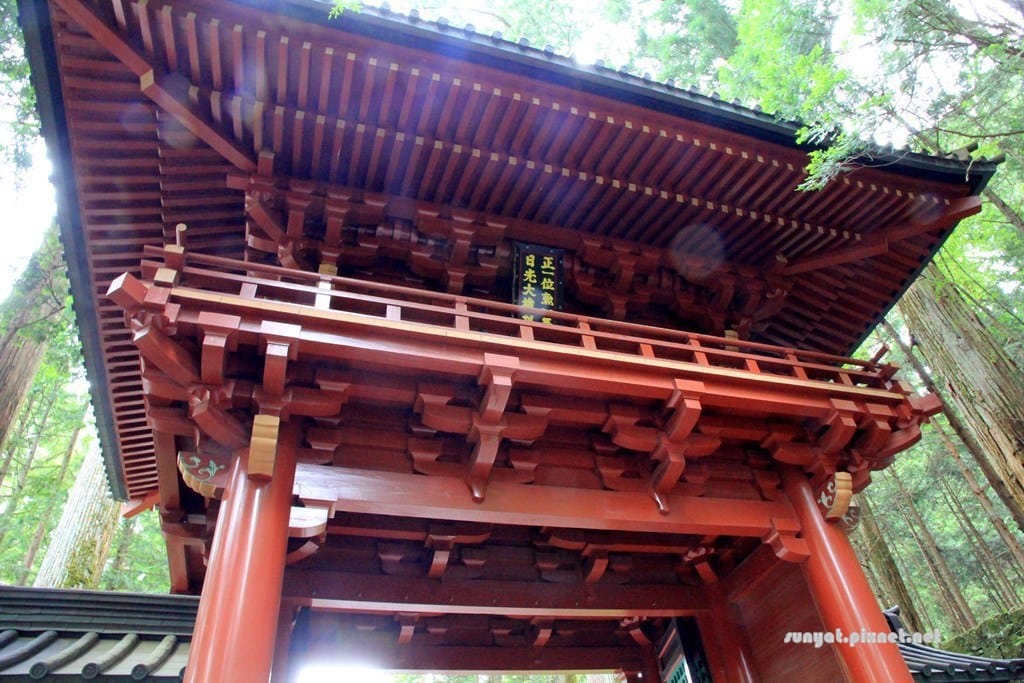 IMG_9110.JPG IMG_9110.JPG