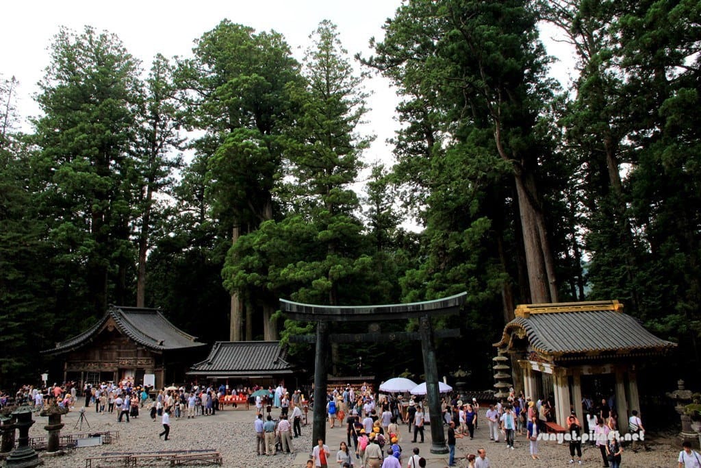 IMG_9098.JPG IMG_9098.JPG