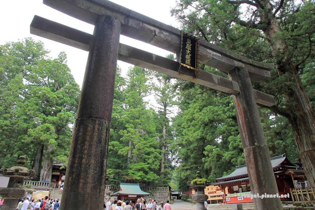 IMG_9037.JPG IMG_9037.JPG