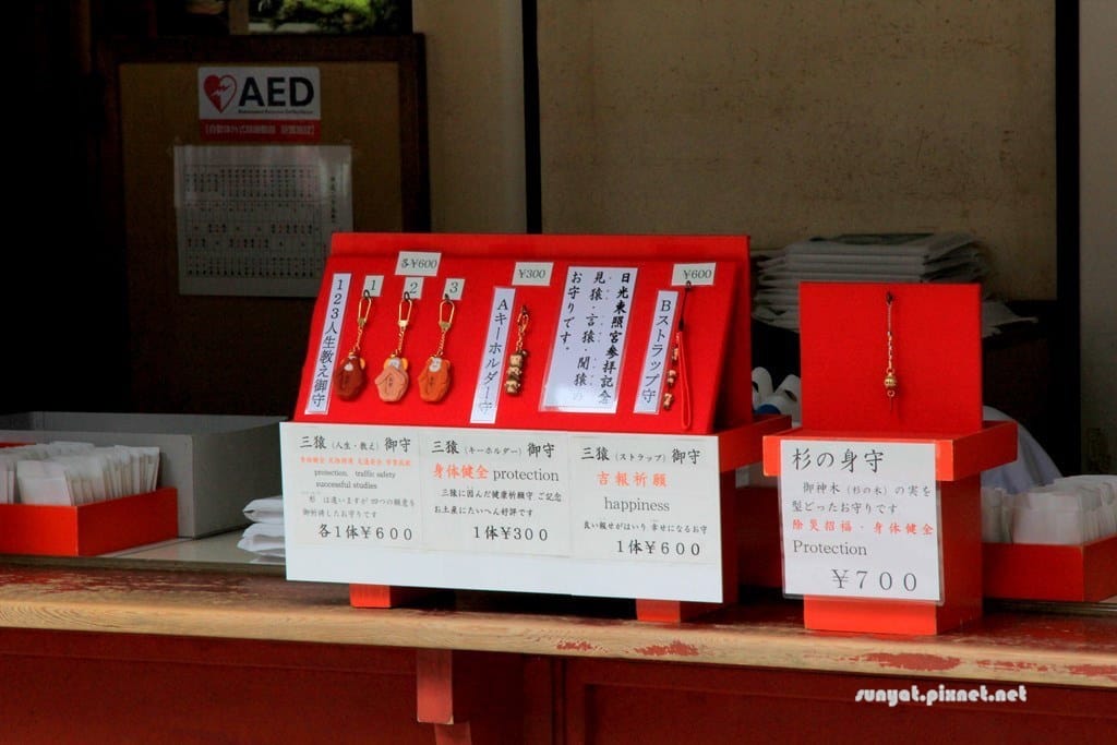 IMG_9065.JPG IMG_9065.JPG