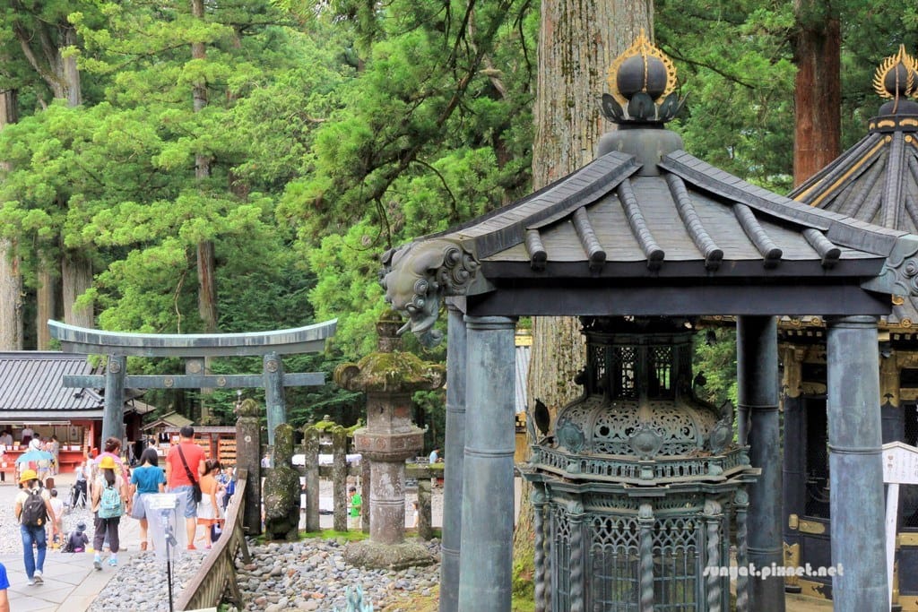 IMG_9094.JPG IMG_9094.JPG