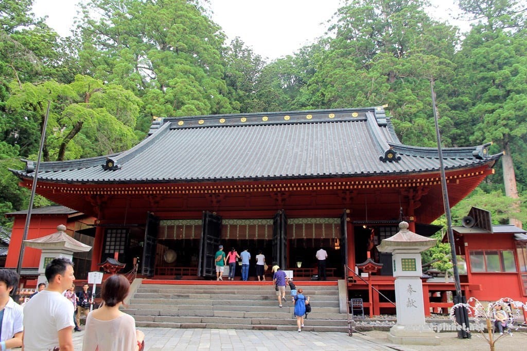 IMG_9135.JPG IMG_9135.JPG