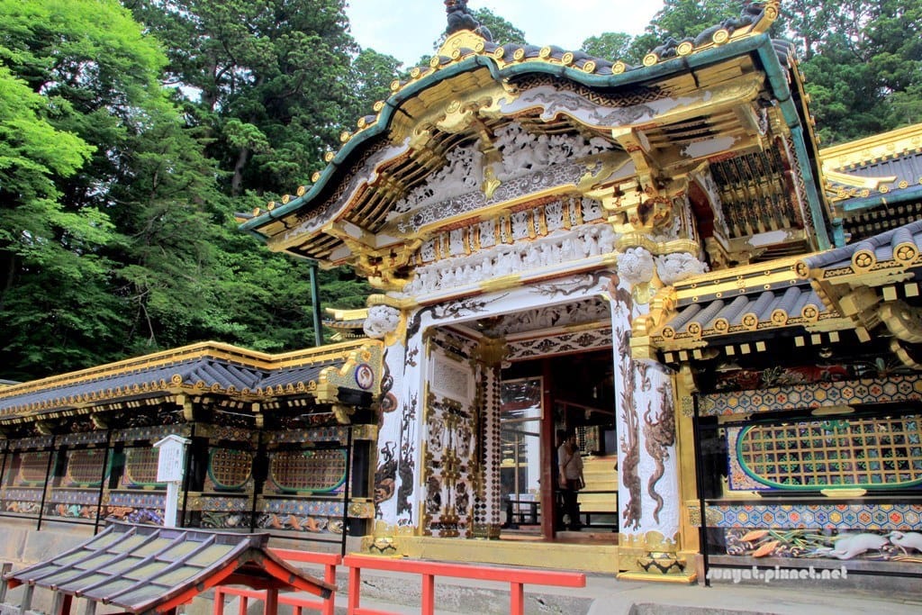 IMG_9088.JPG IMG_9088.JPG