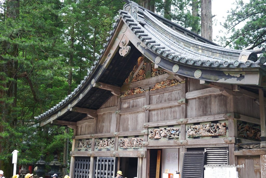 P1030565.JPG P1030565.JPG