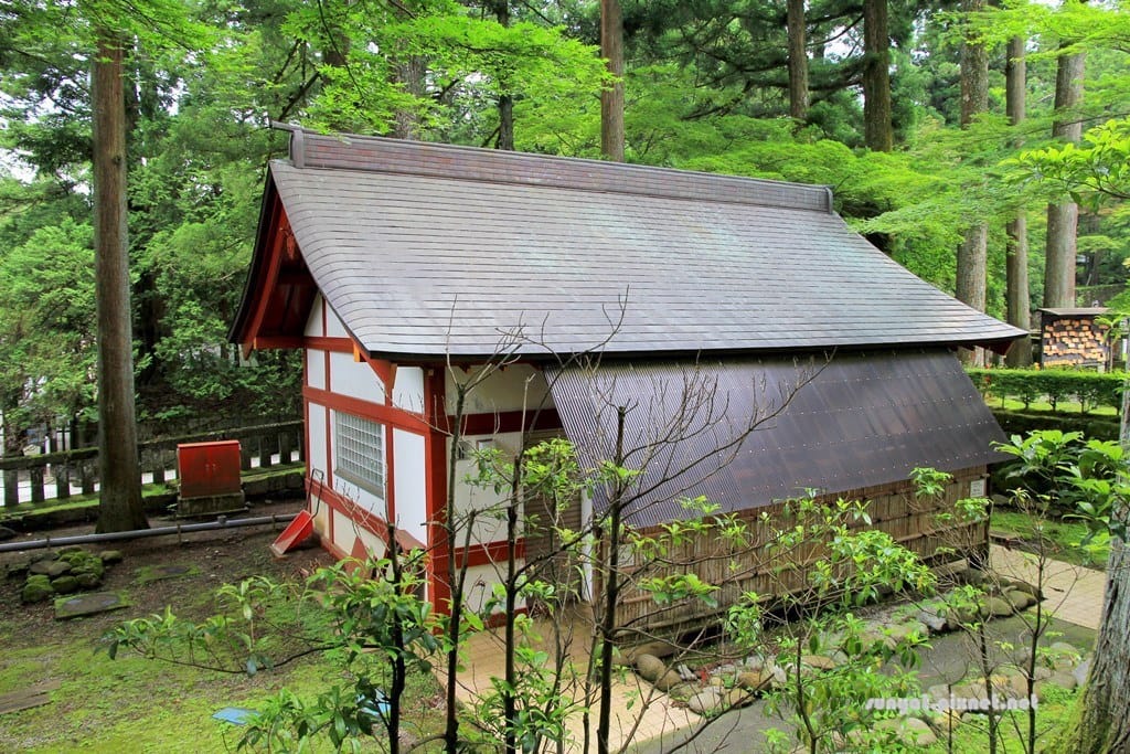 IMG_9002.JPG IMG_9002.JPG