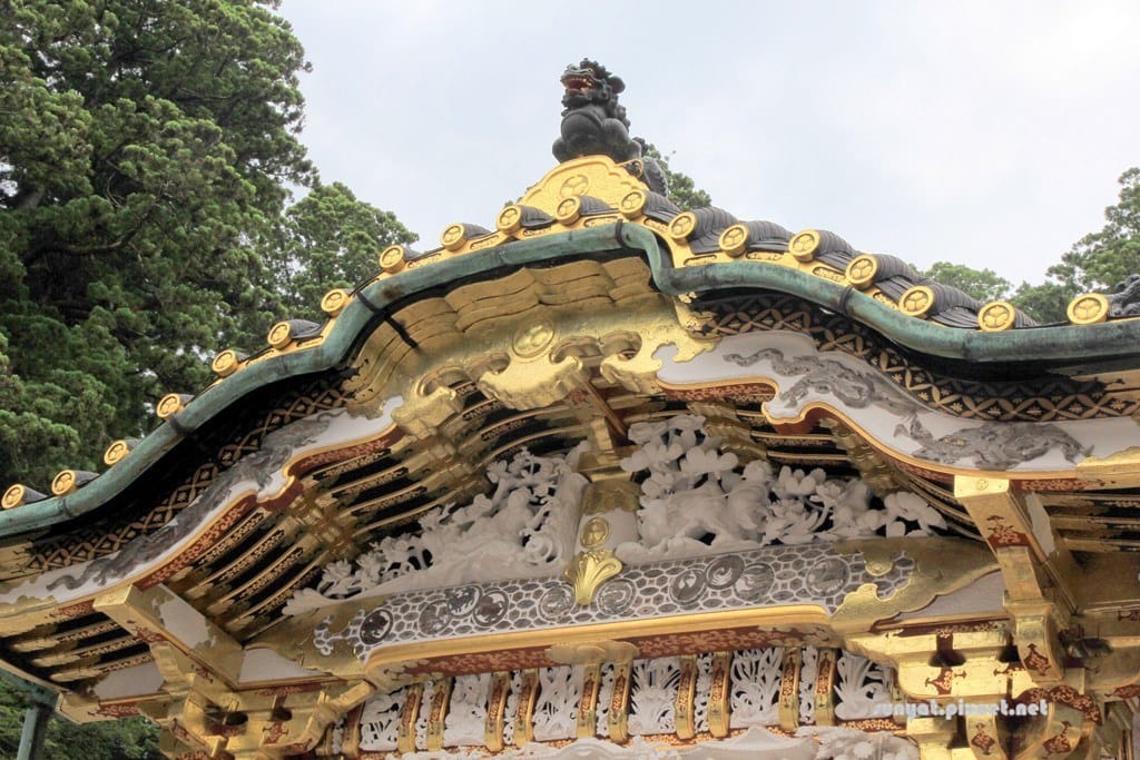 IMG_9089.JPG IMG_9089.JPG