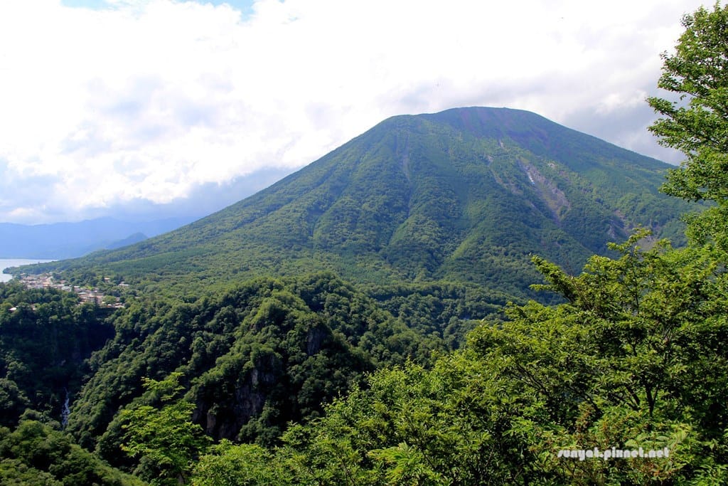 IMG_9213.JPG IMG_9213.JPG