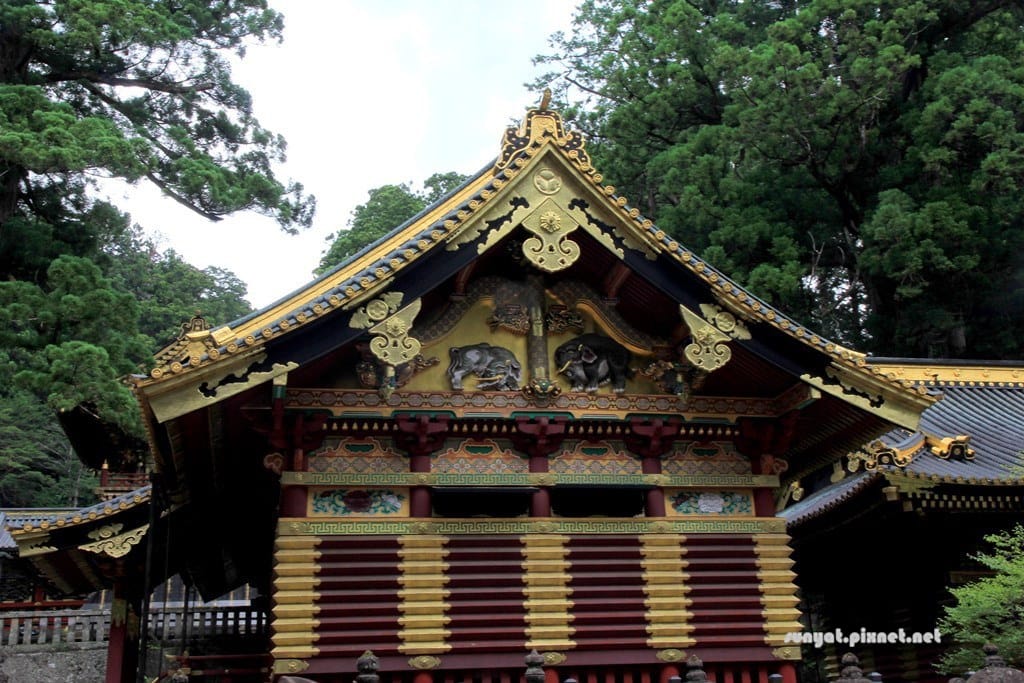 IMG_9101.JPG IMG_9101.JPG