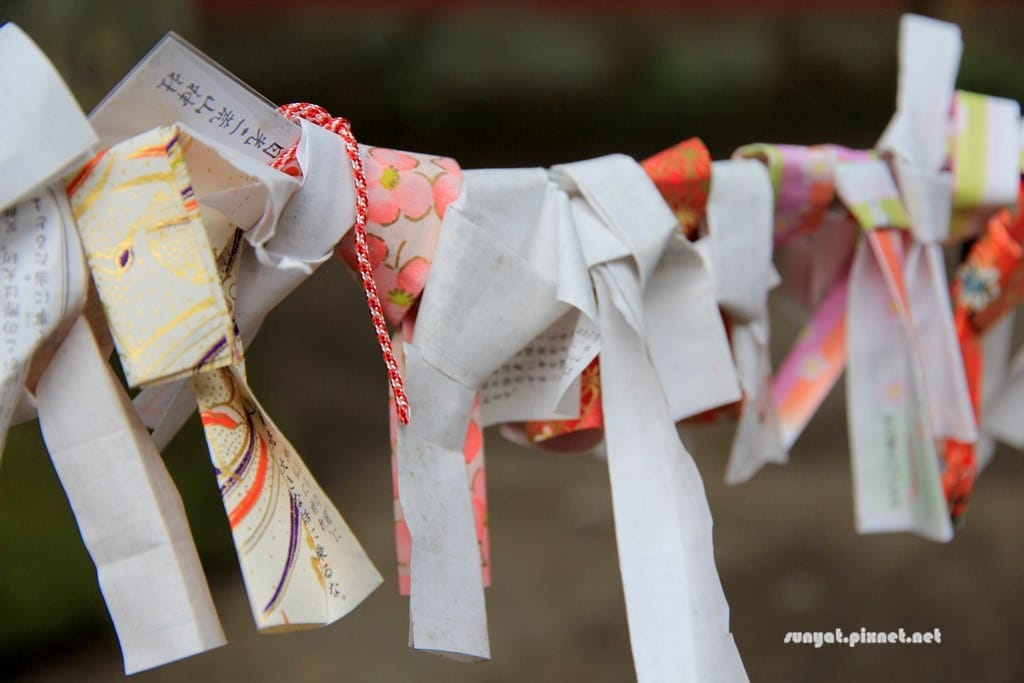 IMG_9134.JPG IMG_9134.JPG