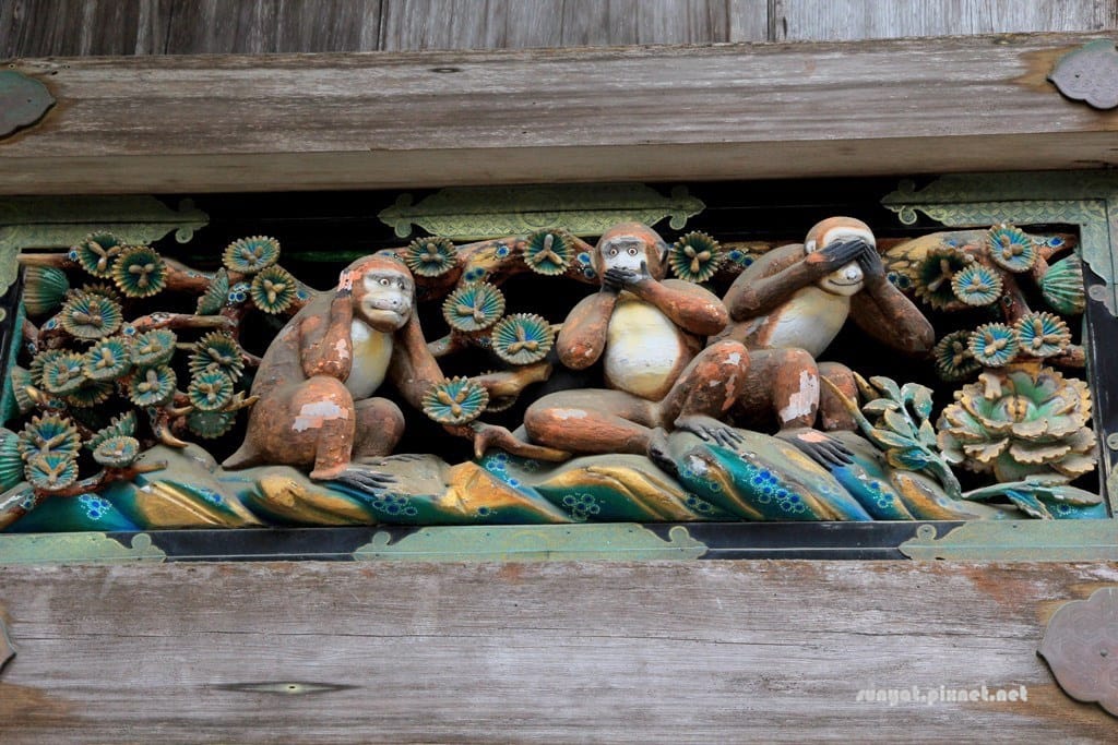 IMG_9060.JPG IMG_9060.JPG