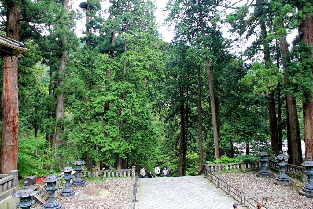 IMG_9163.JPG IMG_9163.JPG