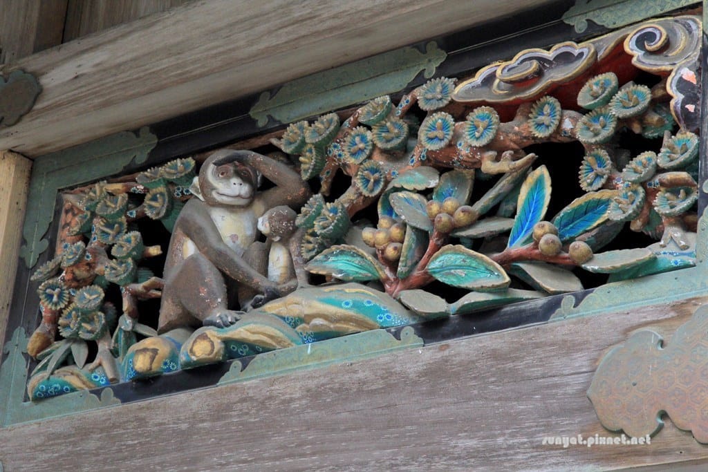 IMG_9061.JPG IMG_9061.JPG