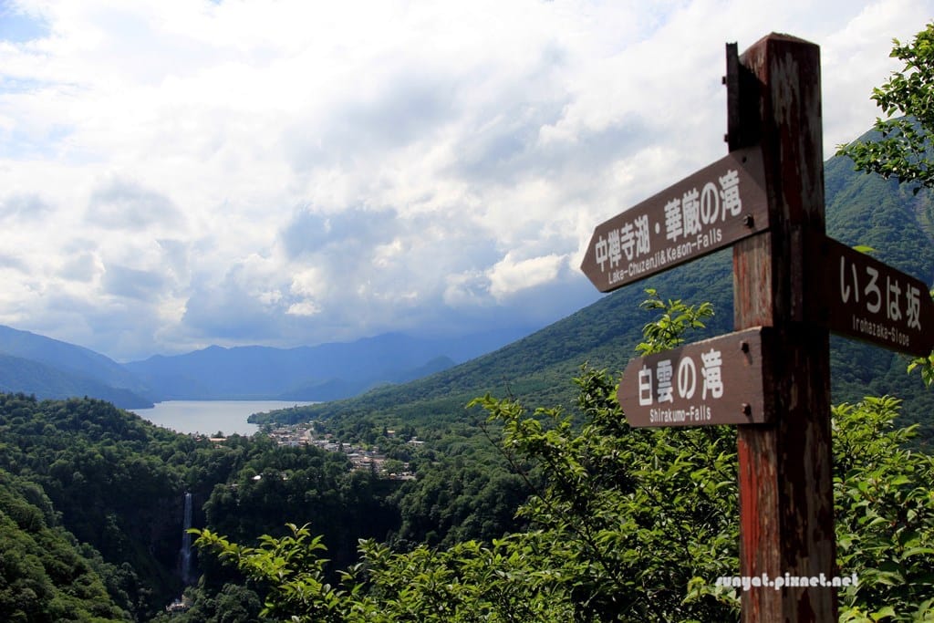 IMG_9217.JPG IMG_9217.JPG