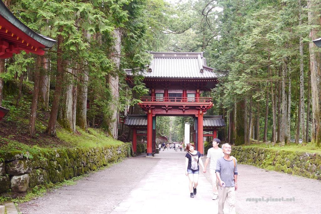 P1030576.JPG P1030576.JPG